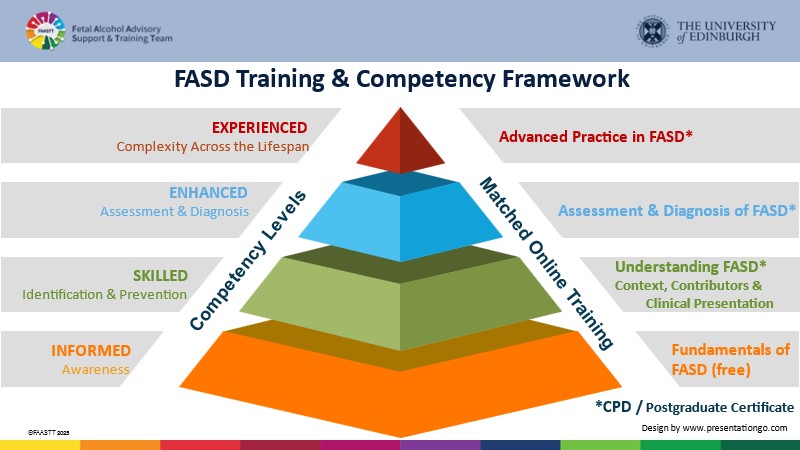 Pyramid showing the different training competency levels and the associated FASD training opportunities